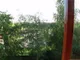 img_1561927_2.jpg