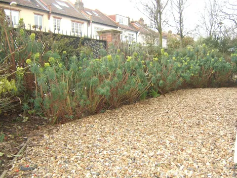 43_Cambridge_Road__Flat_1_-_Garden.jpg