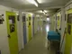 Quaranteen Cattery Quaranteen Cattery