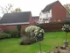Image 2 Image 2