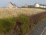 Newbie, Annan