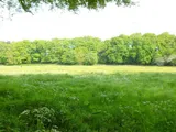 WIGGINTON