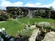 Garden Garden
