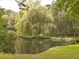 Seven Hills Road, Cobham, Surrey