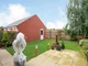 Garden Garden