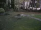Image 7 Image 7
