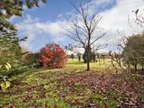 Cootes Lane, Fen Drayton, Cambridge, CB24