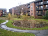 Castle Gardens, Lenton