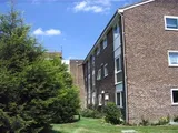 Cornflower Drive, Chelmsford