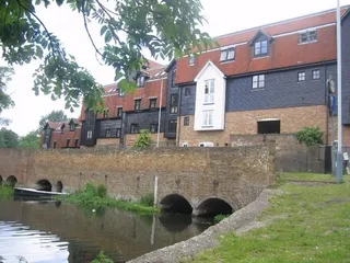 000004392_2231186_IMG_00.jpg