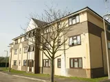 Damson Grove