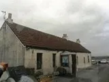 Whitehill, Denny