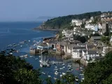 Investment Opportunity, Fowey