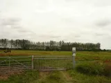 Land at The Drove, Westmarsh, Canterbury CT3 2LP - For Sale