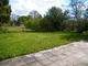 Garden Garden