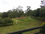 0.9 Acres
Bratton Fleming