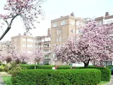 Chiswick Village, London
