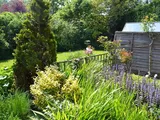 Knaphill