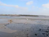 Manningtree