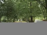 Woodlands Road, Harpsden, Henley-on-Thames, Oxfordshire