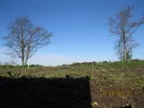 Plot , Hermitage Gardens, Doddington, Cambridgeshire