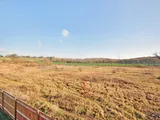 Aldington, Ashford, Kent