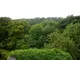 View from Bedroom View from Bedroom
