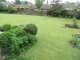 open-uri20120601-29321-cfeqns-0.jpg