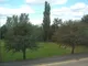 UPAD_5683490_IMG_01.jpg