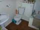 Image 8 Image 8