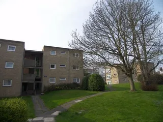 1451_2624145_IMG_00.jpg