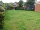 Image 11 Image 11