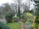 Garden Garden