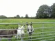 Image 7 Image 7