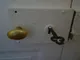 Image 7 Image 7