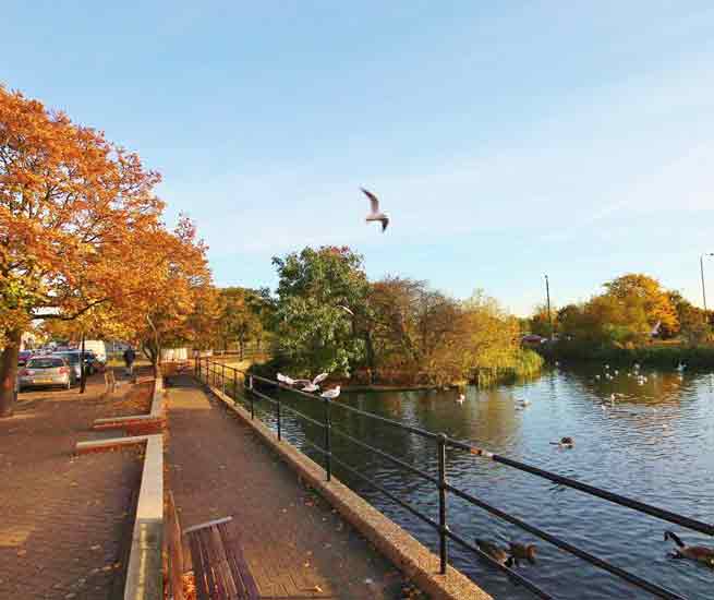 Mitcham Sales & Lettings Agents
