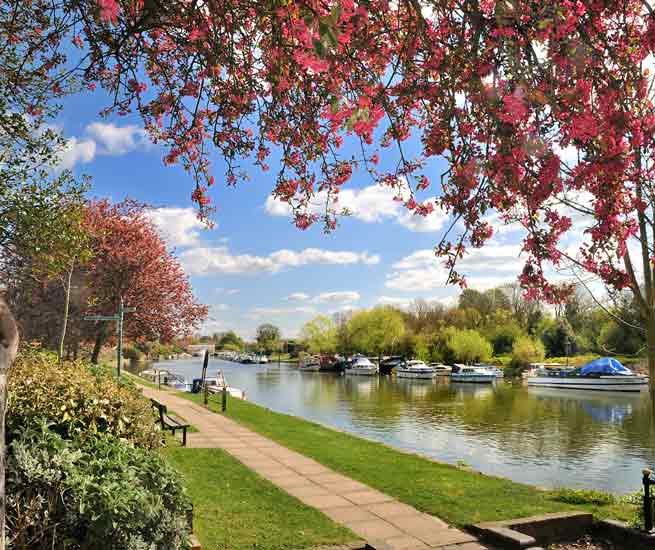 Sunbury-on-Thames Sales & Lettings Agents